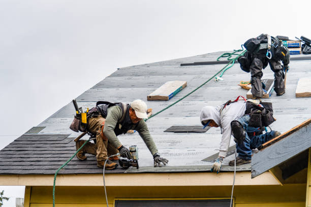 Professional Roofing technician working in Riddle, OR